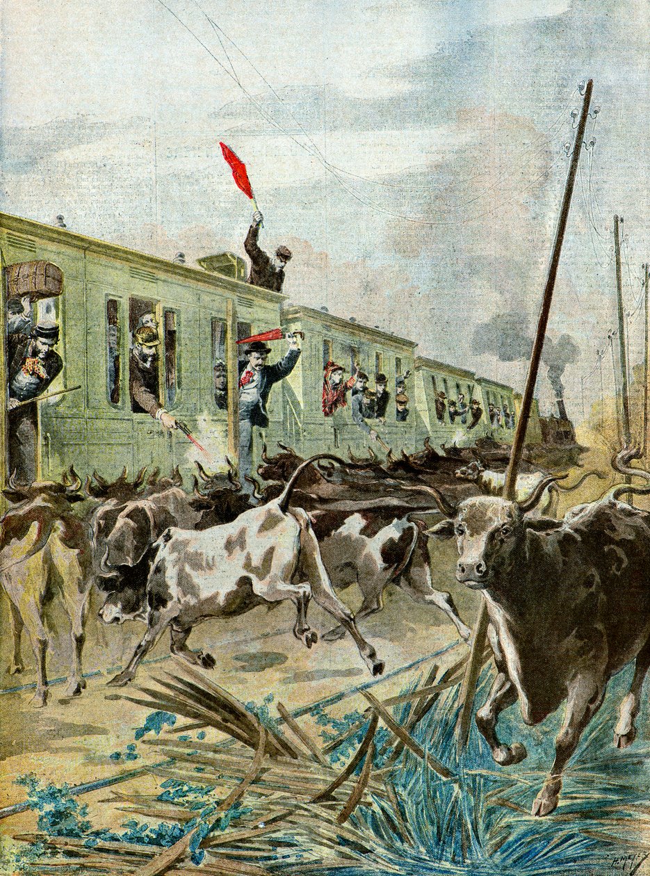 Et tog angrebet af en flok tyre,1895 (Illustration) af Henri Meyer