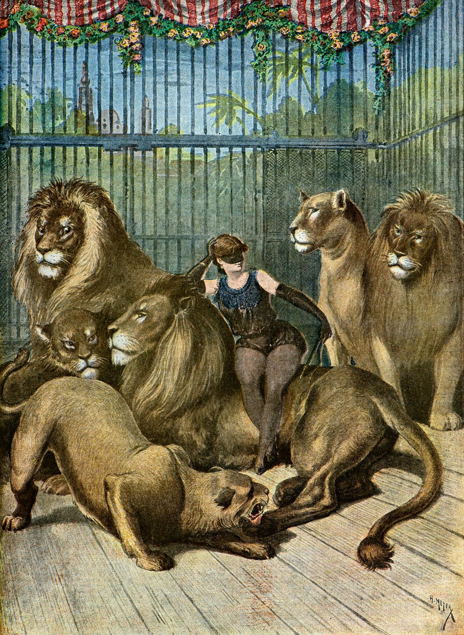 Portræt af grevinden af X*** og hendes løver,1895 (Illustration) af Henri Meyer