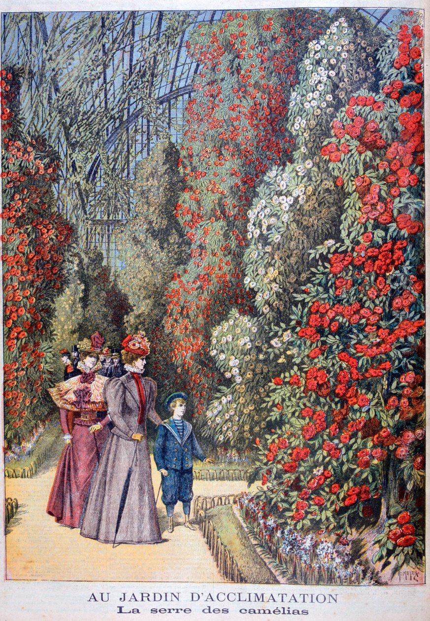 Kameliaernes drivhus, zoologiske haver, Paris, 1897 af Henri Meyer