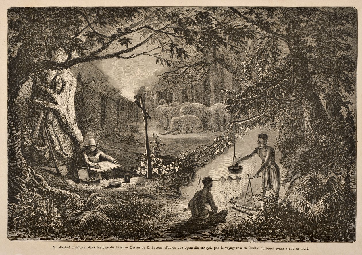 Henri Mouhot Camping i Laos jungler, illustration fra 