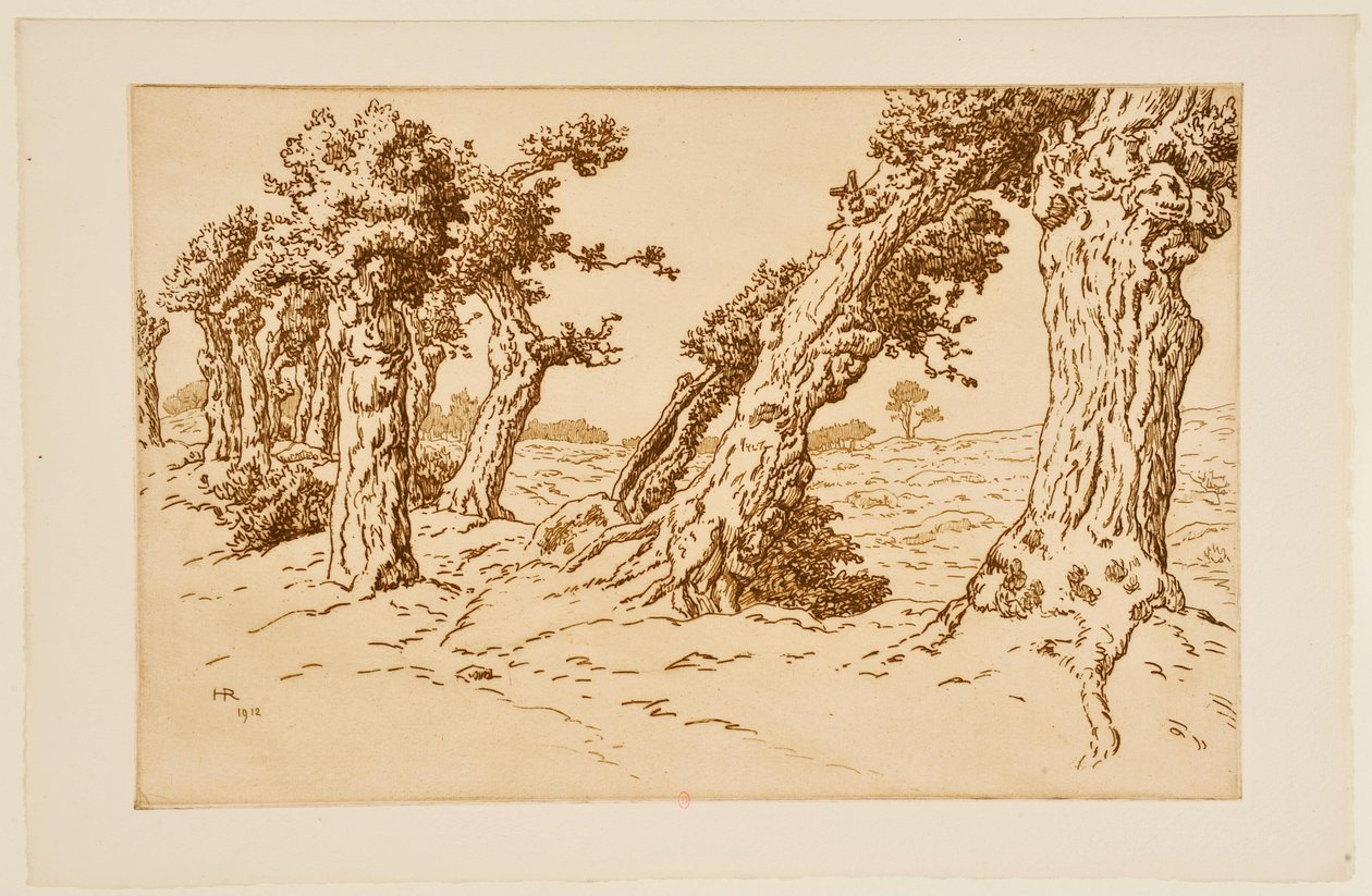 Knotige Baumstämme af Henri Rivière