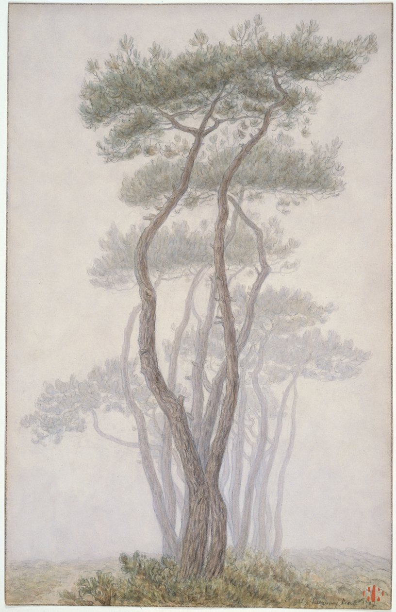 Loguivy, træer af Henri Rivière
