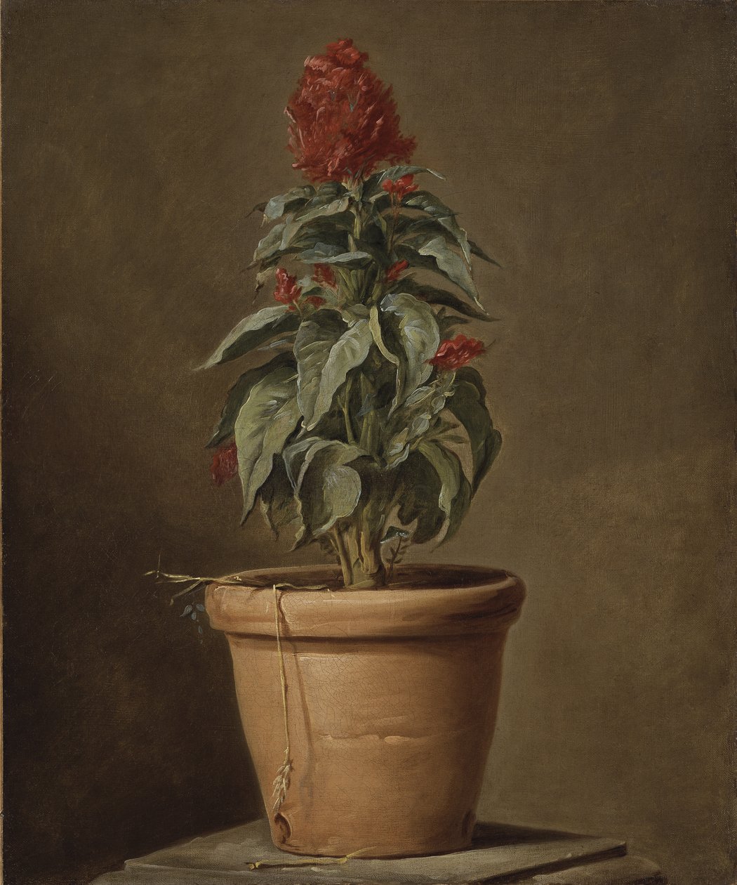En potteplante af Henri Roland de la Porte