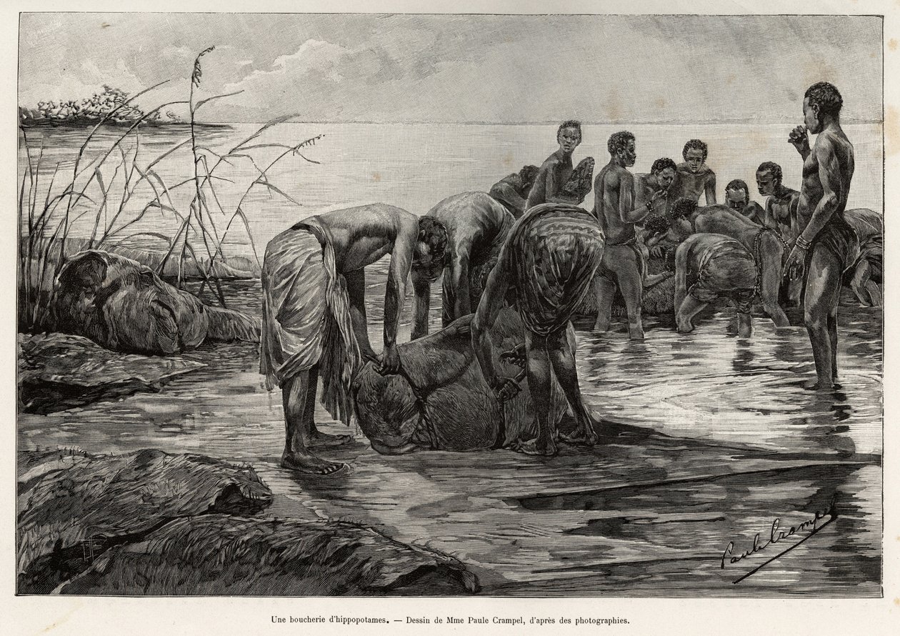 En flodhesteslagterbutik på bredden af en centralafrikansk flod. Gravering af Henri Thiriat for at illustrere historien "" La mission Crampel"", af Albert Nebout (1862-1939), i 1890, i Le tour du Monde 1892, instrueret af Edouard Charton (1807-1891), Hache af Henri Thiriat