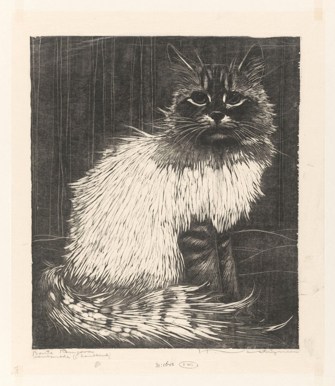 Bonte Angora (original titel på objekt) af Henri Verstijnen (signed by artist)