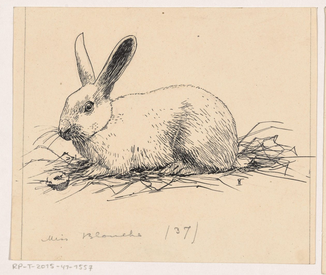 Kanin af Henri Verstijnen (signed by artist)