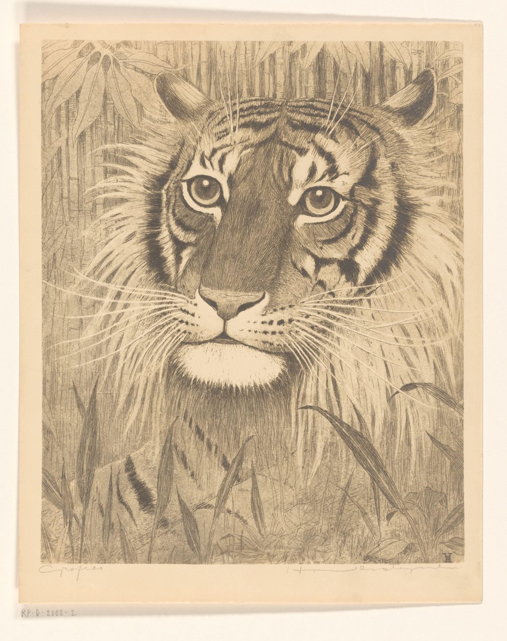 Hovedet af en tiger af Henri Verstijnen (signed by artist)