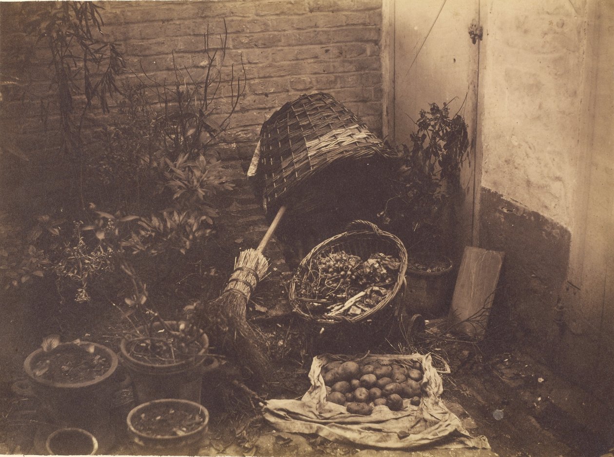 [Stilleben med halmkurve, kost, åbnet kartoffelsæk og potteplanter]. af Henri Victor Regnault