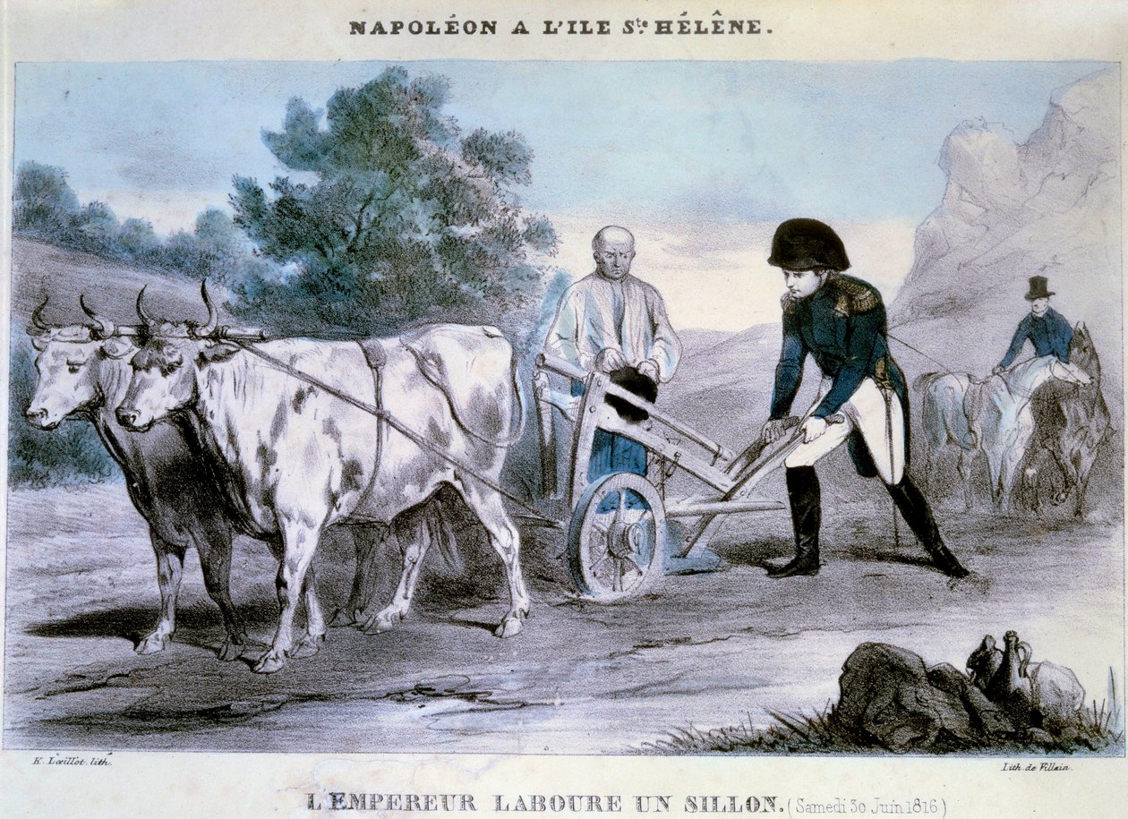 Napoleon I (1769-1821) a Saint Helene: kejseren pløjer en fure (30/06/1816) Skurkens litografi. 1816 Ile d
