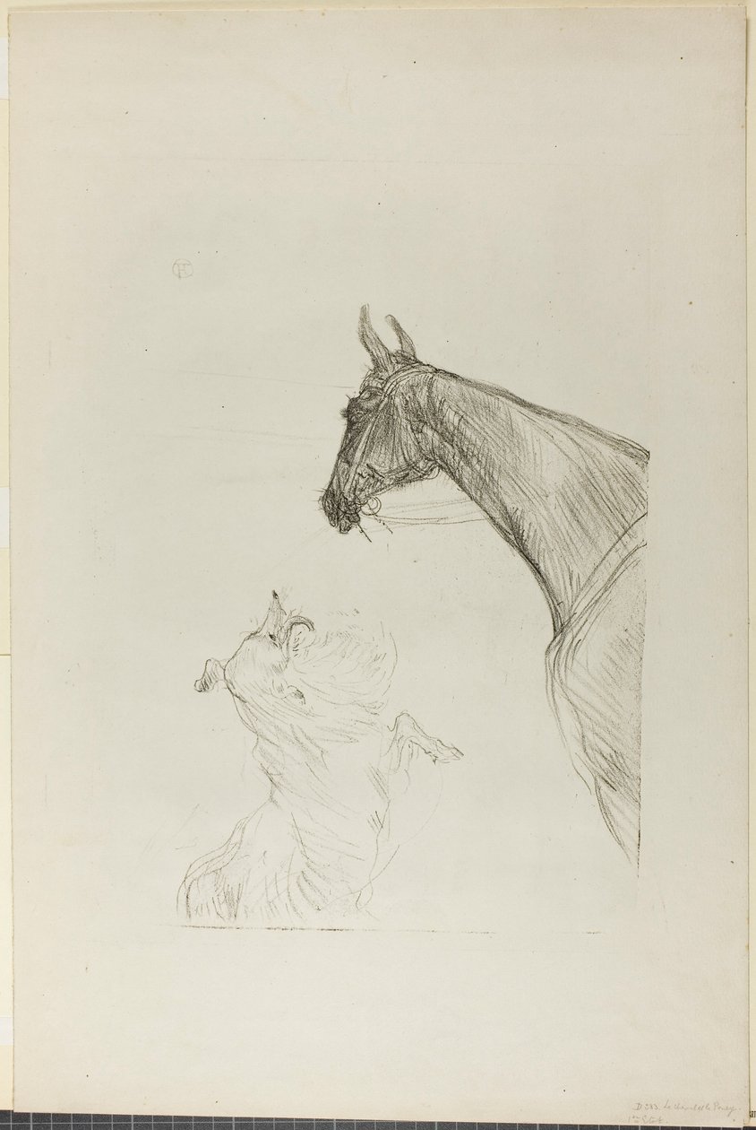 Hest og Collie af Henri de Toulouse-Lautrec