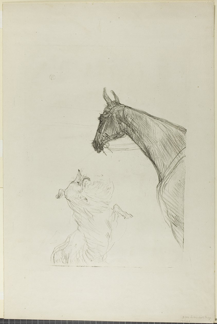 Hest og Collie af Henri de Toulouse Lautrec