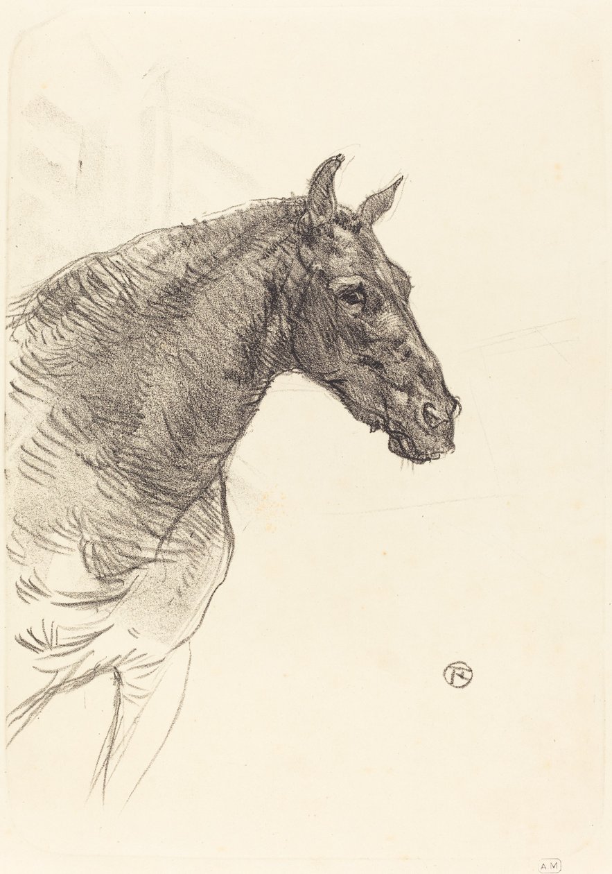 Gammel Hest af Henri de Toulouse Lautrec
