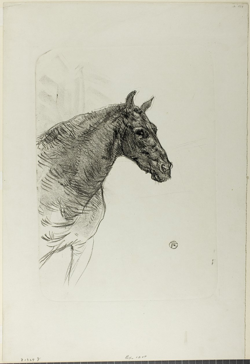 Ponyen Philibert af Henri de Toulouse Lautrec