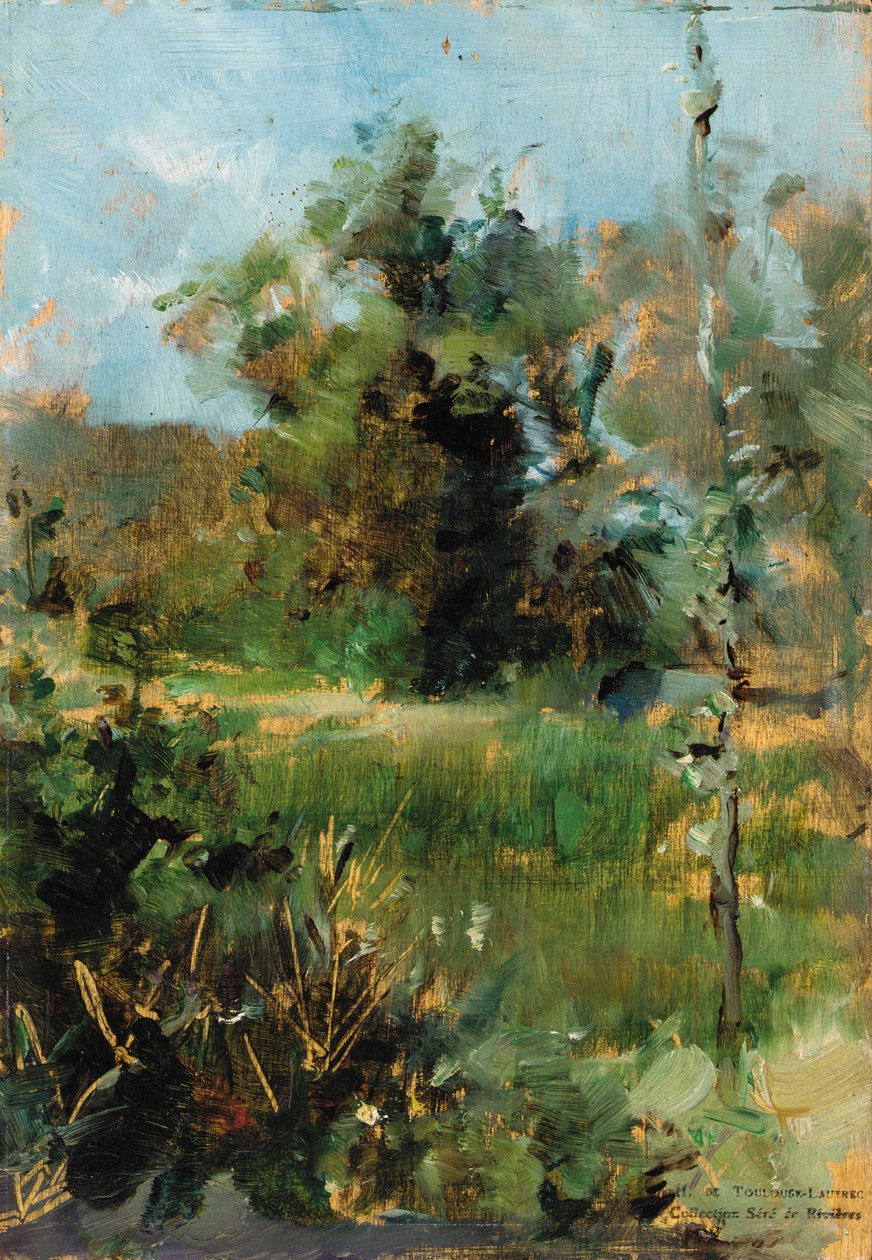 Rydningen af Henri de Toulouse Lautrec