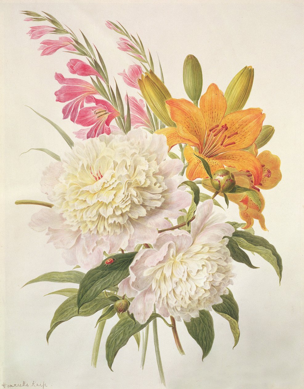 Spray af Gladioli, Pæoner og Lilium Bulbiferum af Henriette Gertruide Knip