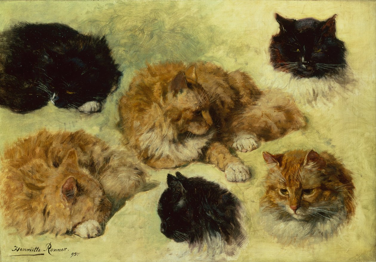 Studier af katte af Henriëtte Ronner Knip