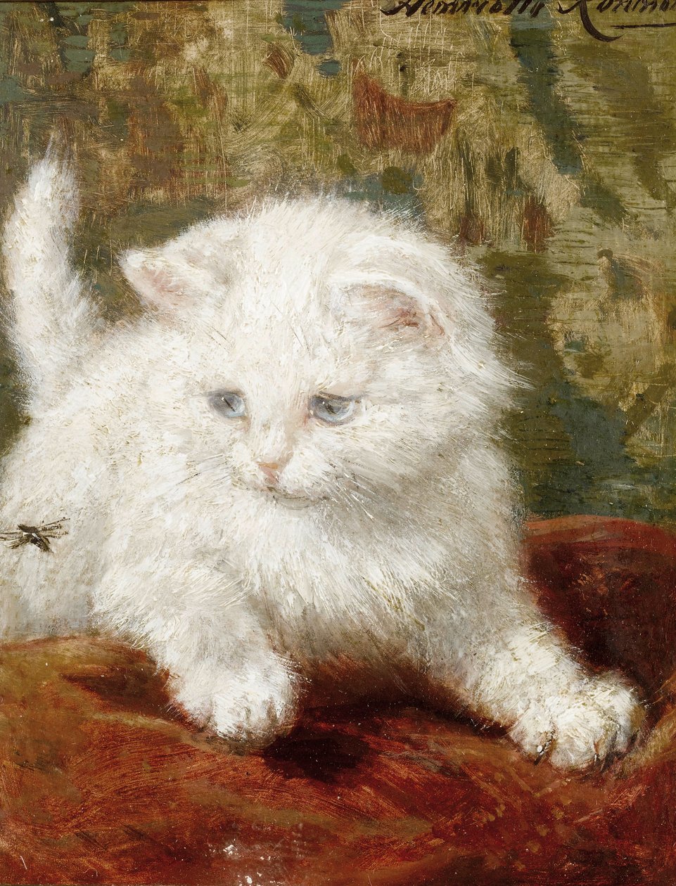 Nysgerrighed af Henriëtte Ronner Knip