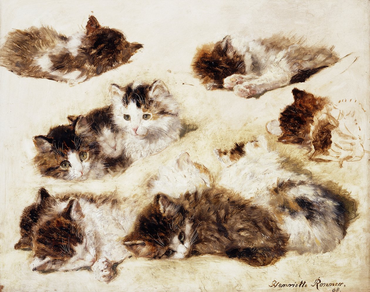 En undersøgelse af killinger, 1898 af Henriëtte Ronner Knip