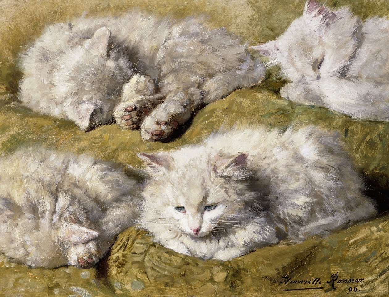 Studier af en langhåret hvid kat, 1896 af Henriëtte Ronner Knip
