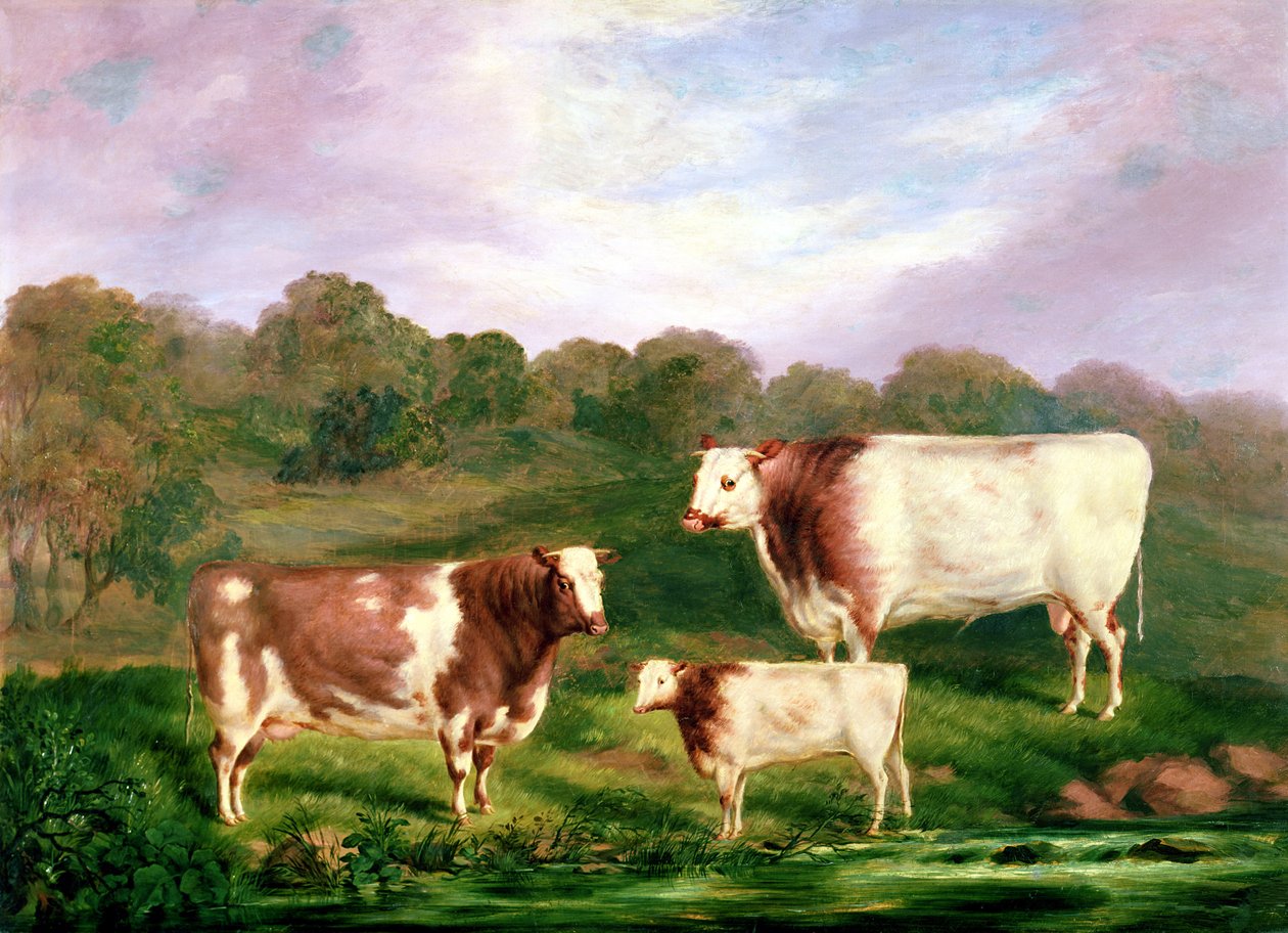 Towneley Pedigrees, 1858-61 af Henry Barraud