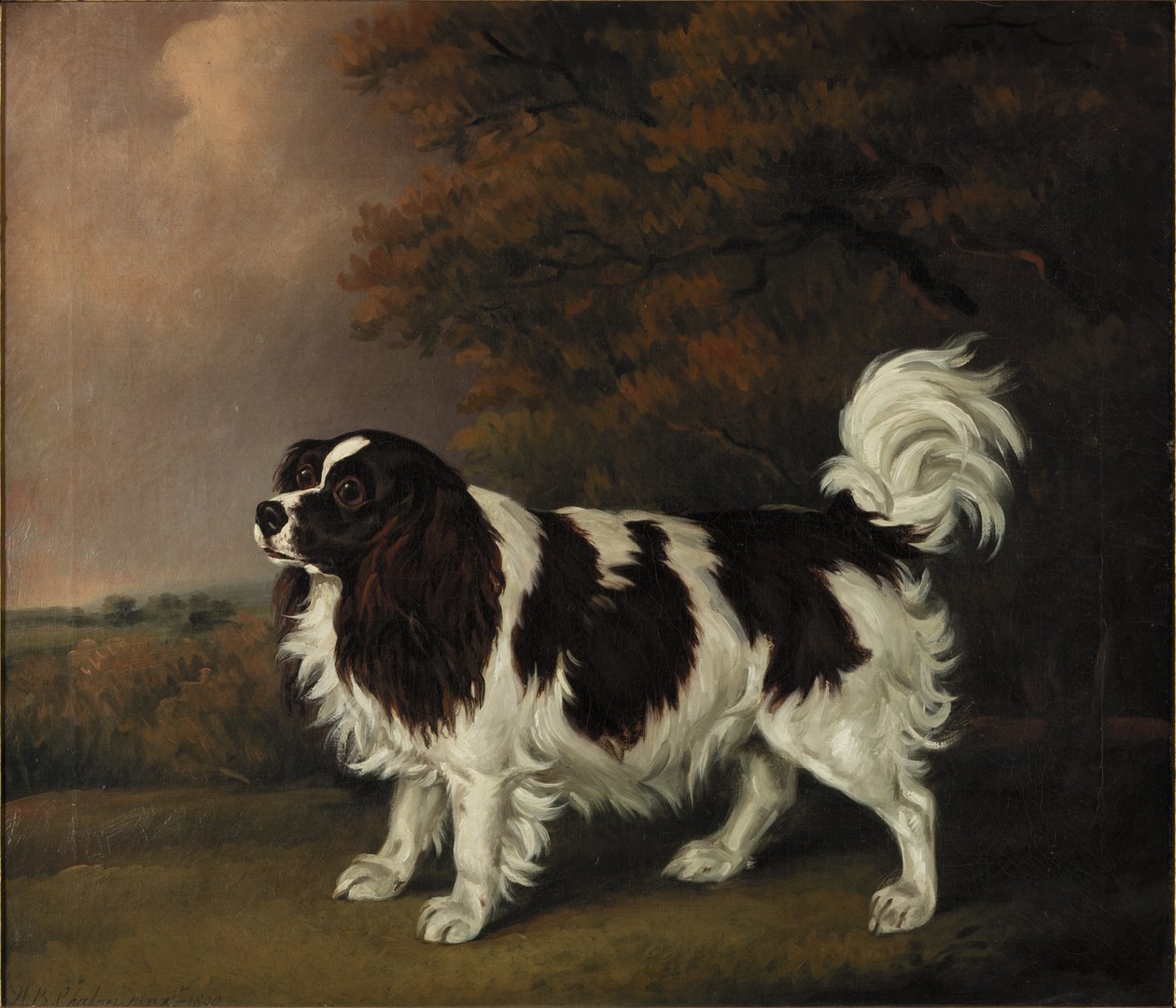 Undersøgelse af en King Charles Spaniel af Henry Bernard Chalon