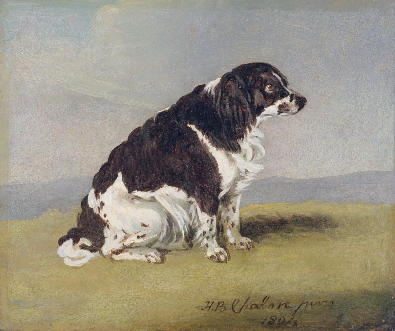 Hertuginden af Yorks Spaniel, 1804 (olie på møllebræt) af Henry Bernard Chalon