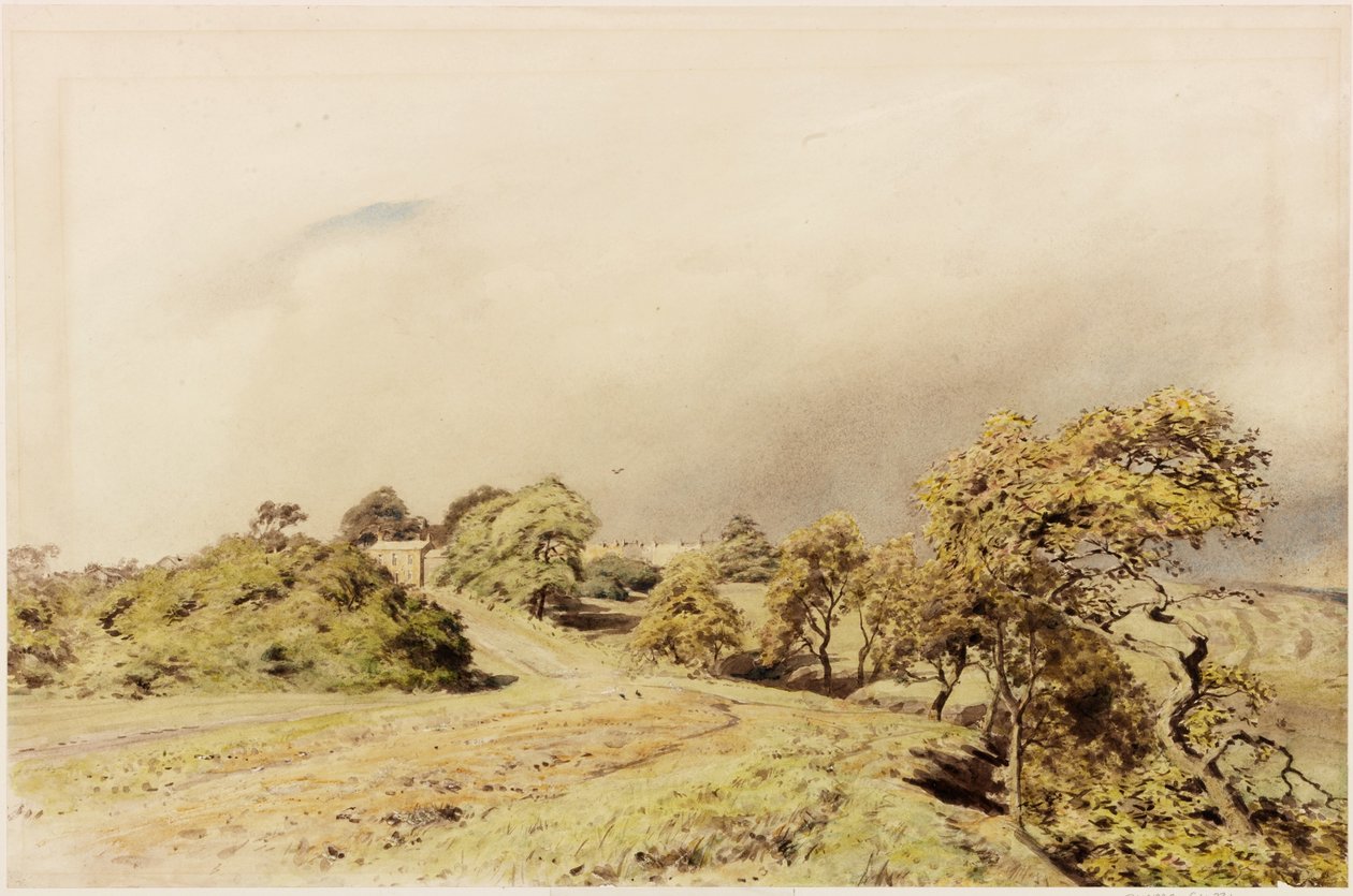Beaumont (kropsfarvet) af Henry Burdon Richardson