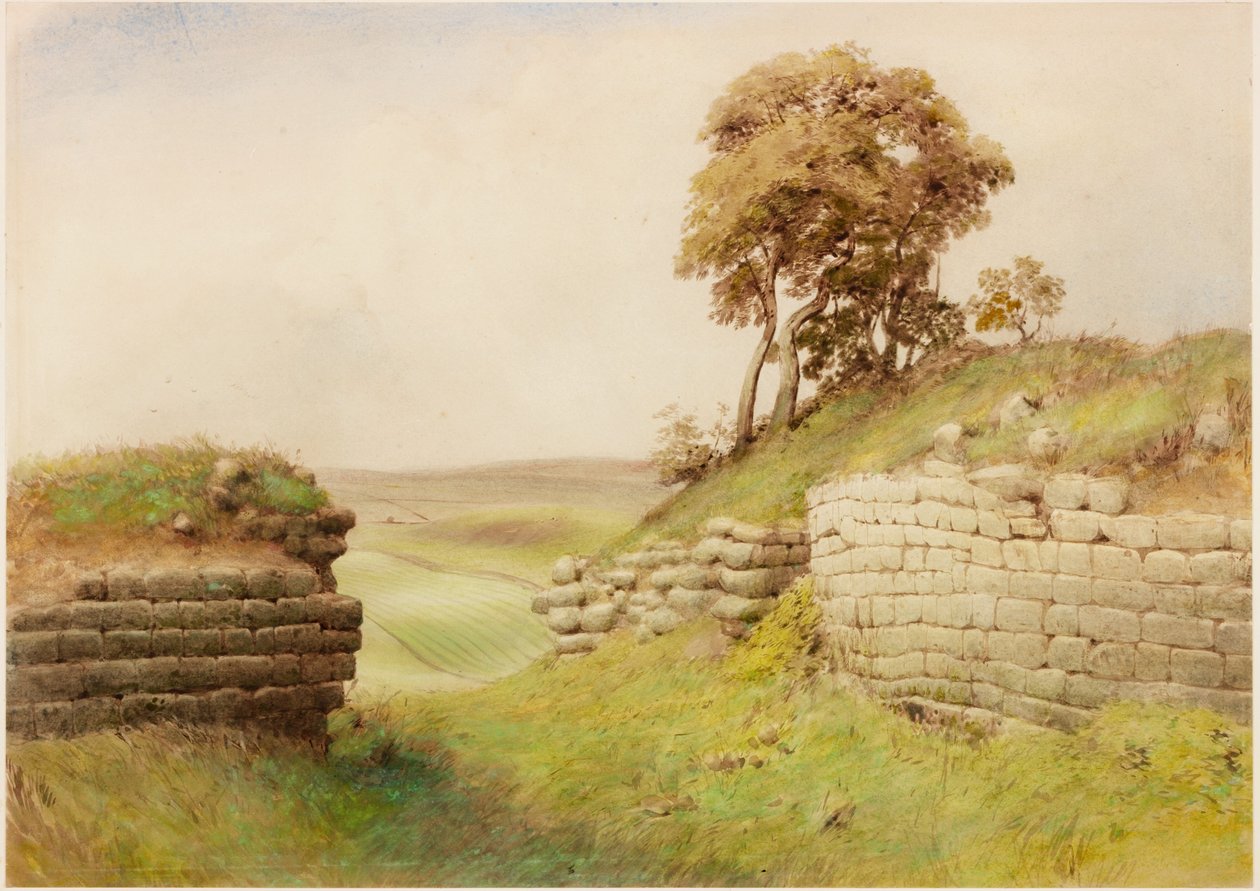 Birdswald (kropsfarve) af Henry Burdon Richardson