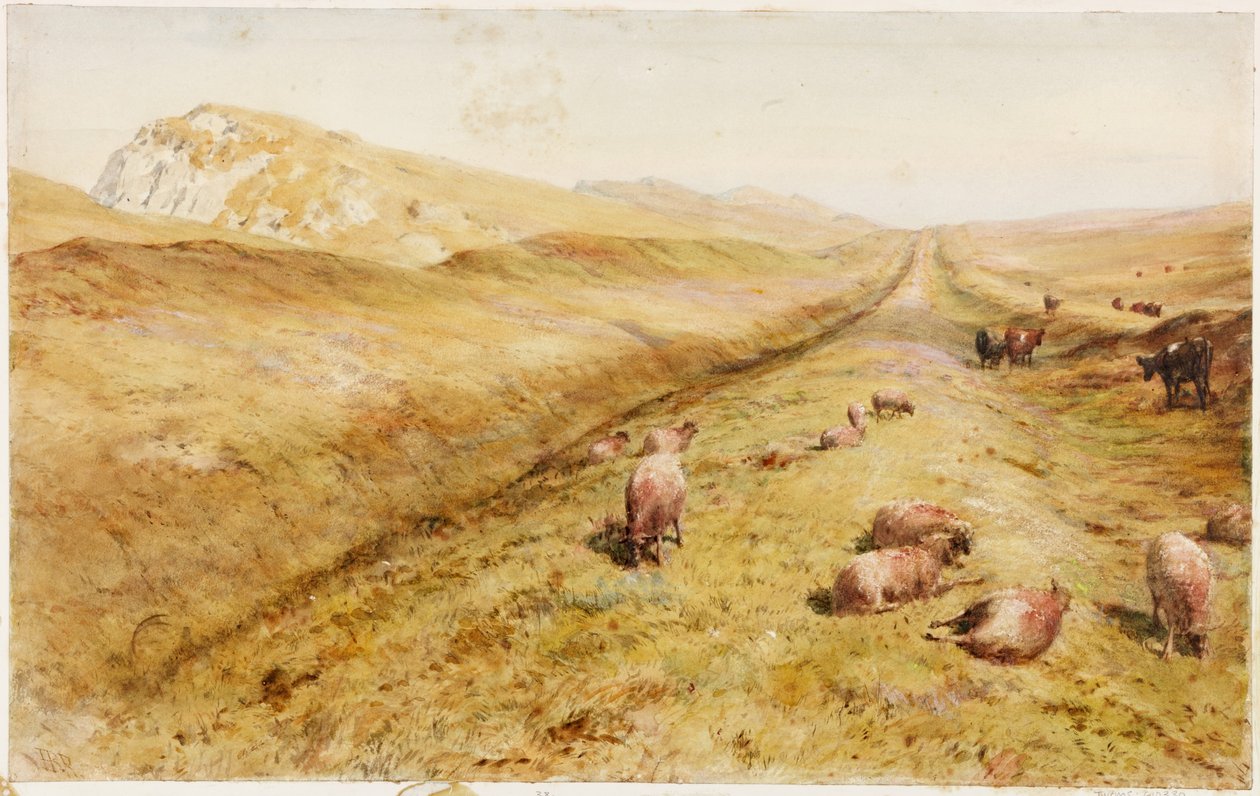 Cawfields (kropsfarve) af Henry Burdon Richardson