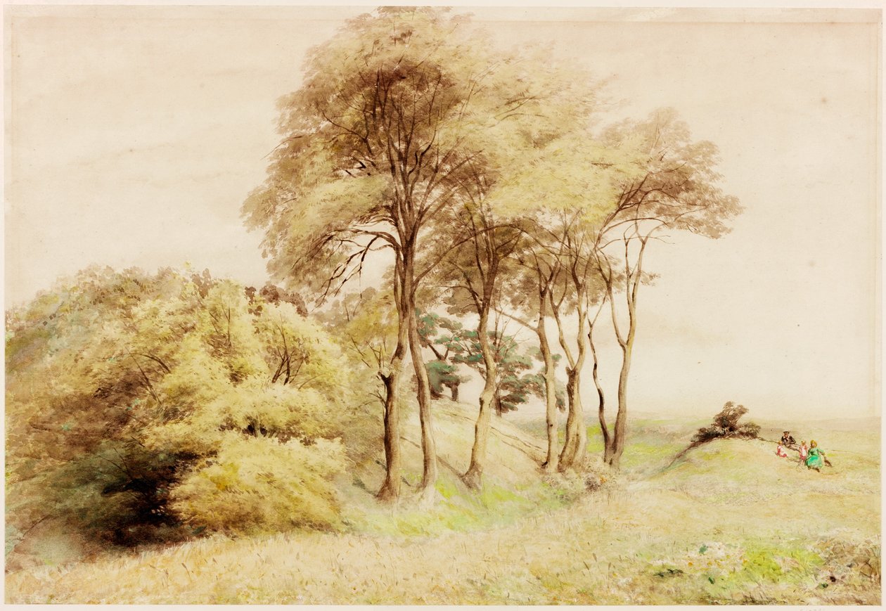 Drumburgh (kropsfarve) af Henry Burdon Richardson