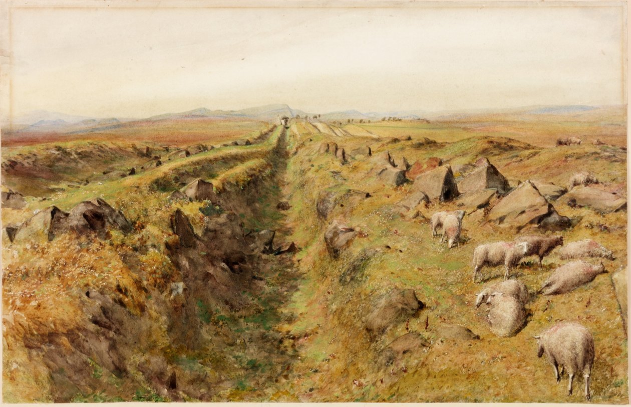 Kalkstensbanke (kropsfarve) af Henry Burdon Richardson