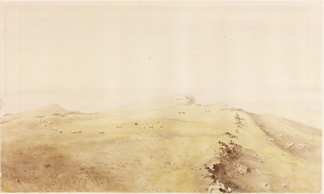 Syskjold (blyant og akvarel på papir (klisteret på kort)) af Henry Burdon Richardson