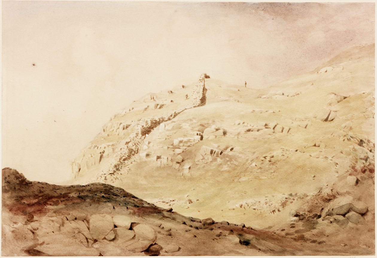 Steel-rigg (kropsfarve) af Henry Burdon Richardson