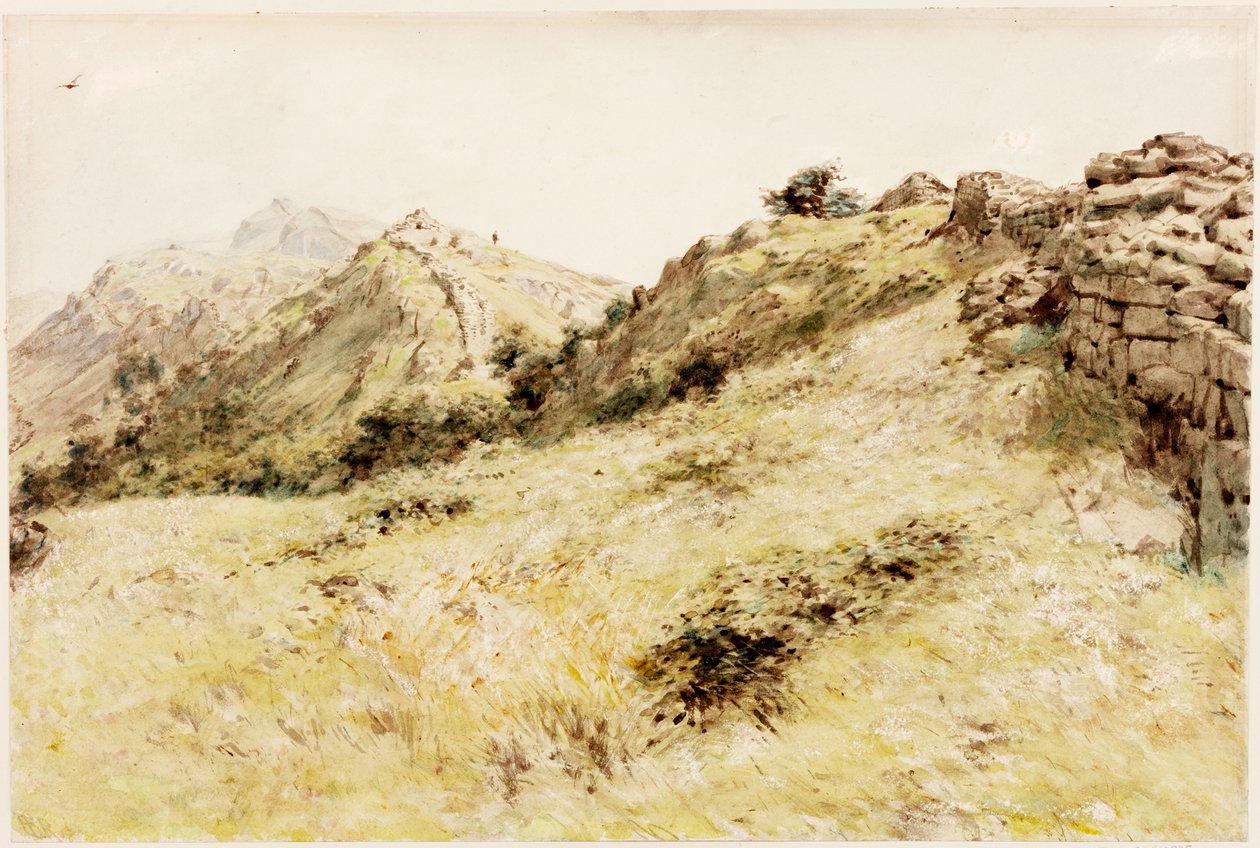 Thirlwall (kropsfarve) af Henry Burdon Richardson