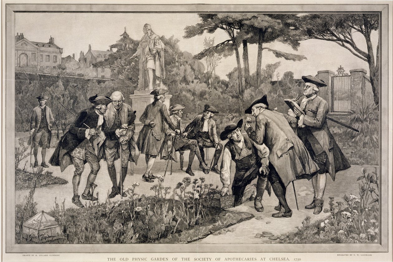 The Old Physic Garden of Society of Apotecaries at Chelsea, 1750, indgraveret af Thomas W. Lascelles (fl.c.1885), 1890 af Henry Gillard Glindoni