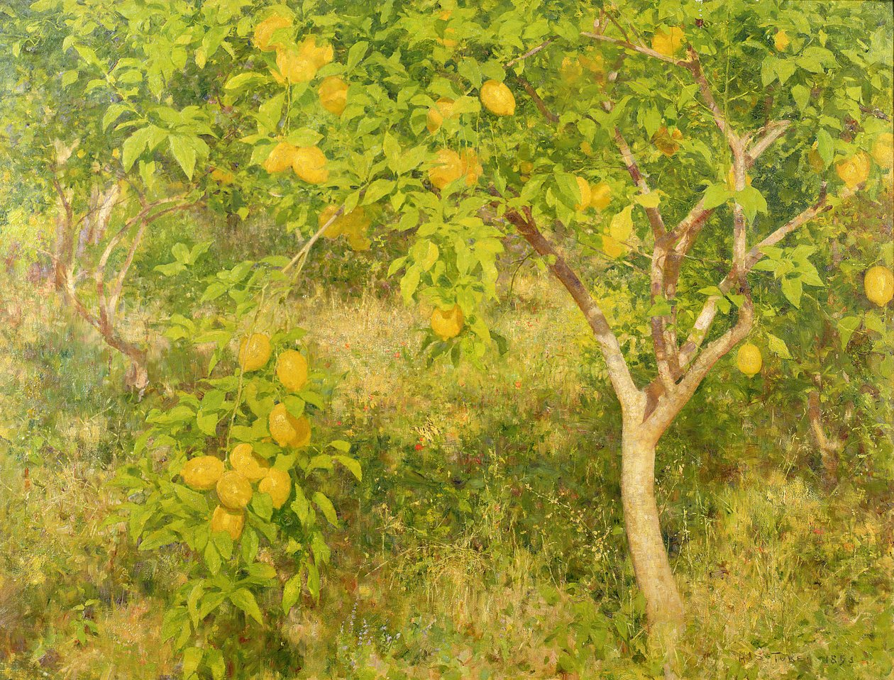 Citrontræet, 1893 af Henry Scott Tuke