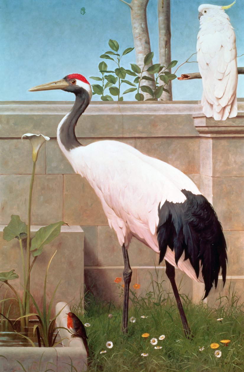 Manchurian Crane, Cockatoo og Robin af Henry Stacey Marks