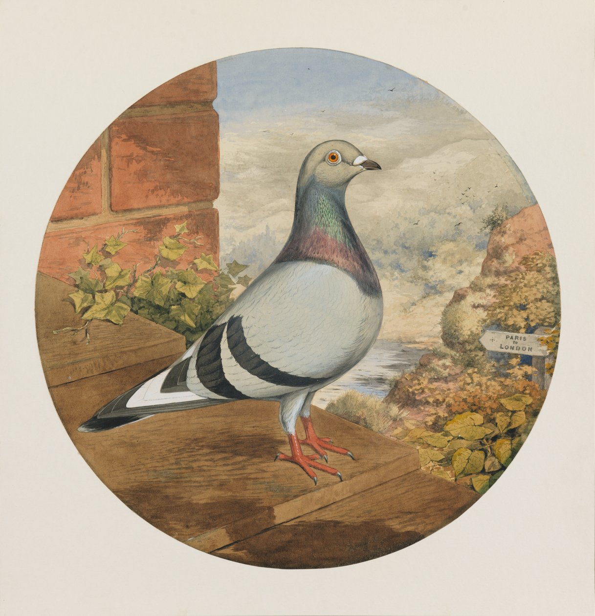 Racing Pigeons, Paris til London, 1880 af Henry Stephen Ludlow