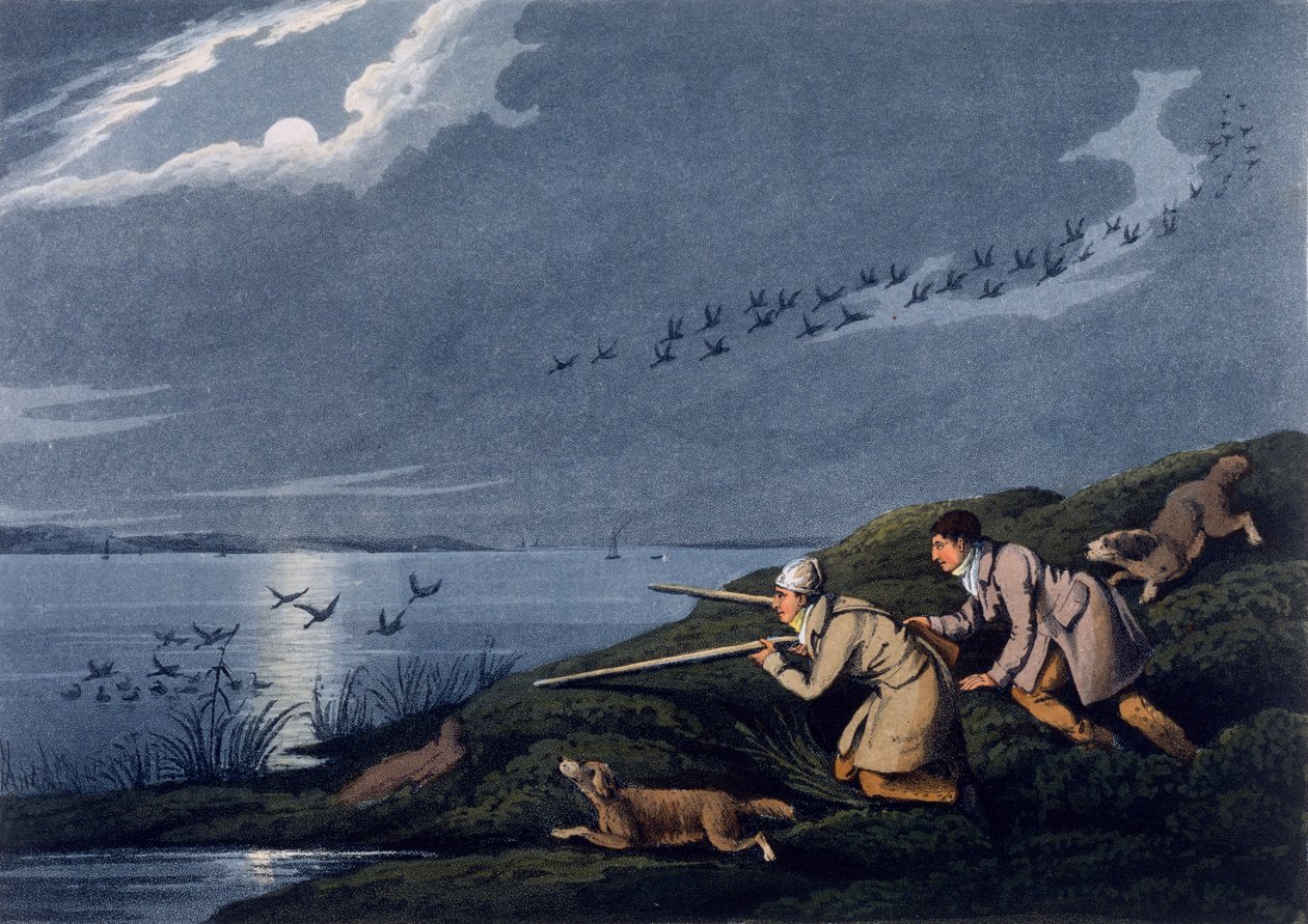 Vilde fugleskydning, 1820 af Henry Thomas Alken