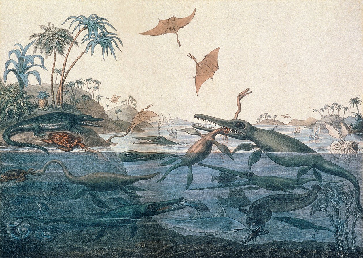 Duria antiquior (Ancient Dorset), en fantasifuld rekonstruktion af livet i Jurassic havene, indgraveret af George Scharf (1820-95) trykt af Charles Joseph Hullmandel (1789-1850) af Henry Thomas De La Beche