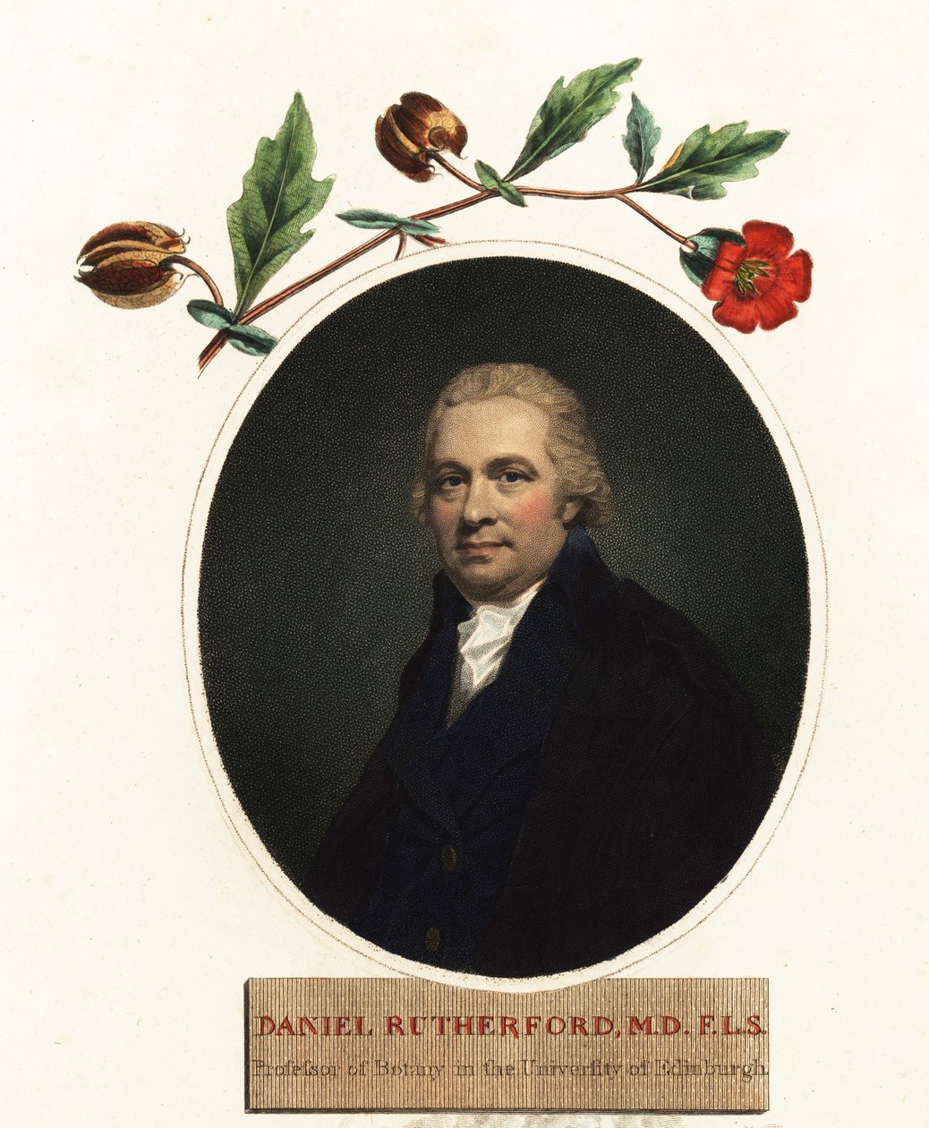 Portræt af Daniel Rutherford, botaniker.1805 (gravering) af Henry (after) Raeburn
