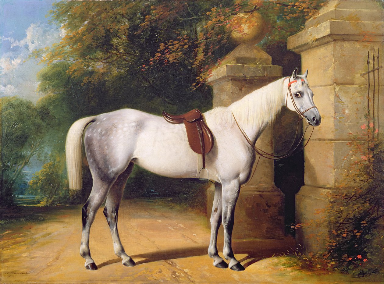 A Grey Horse af Park Gates, 1851 af Henry Barraud