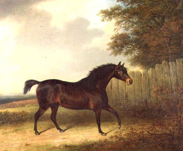 En mørk brun hingst i et landskab af Henry Bernard Chalon