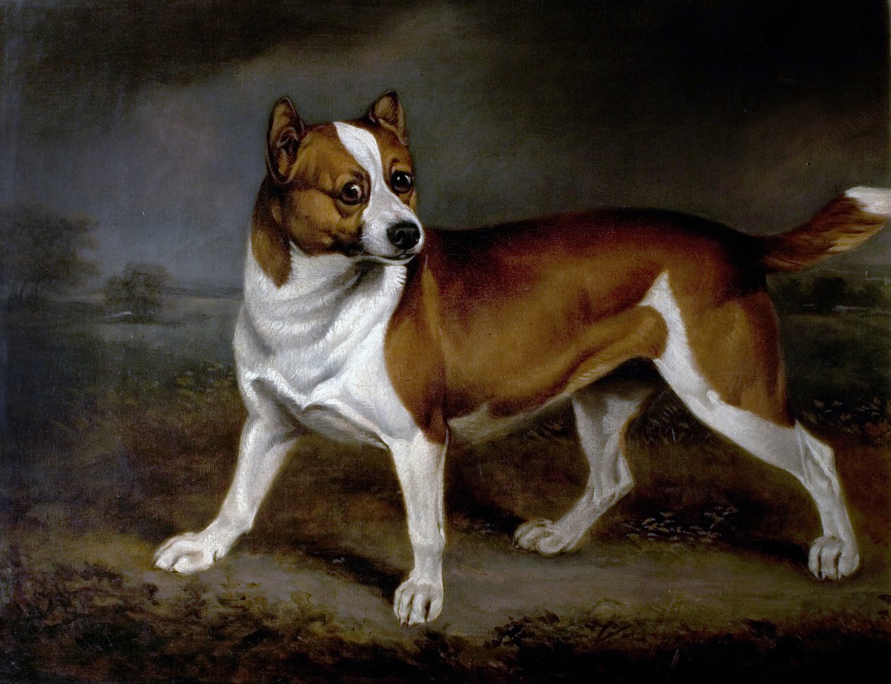 Nælde, 1812 af Henry Bernard Chalon