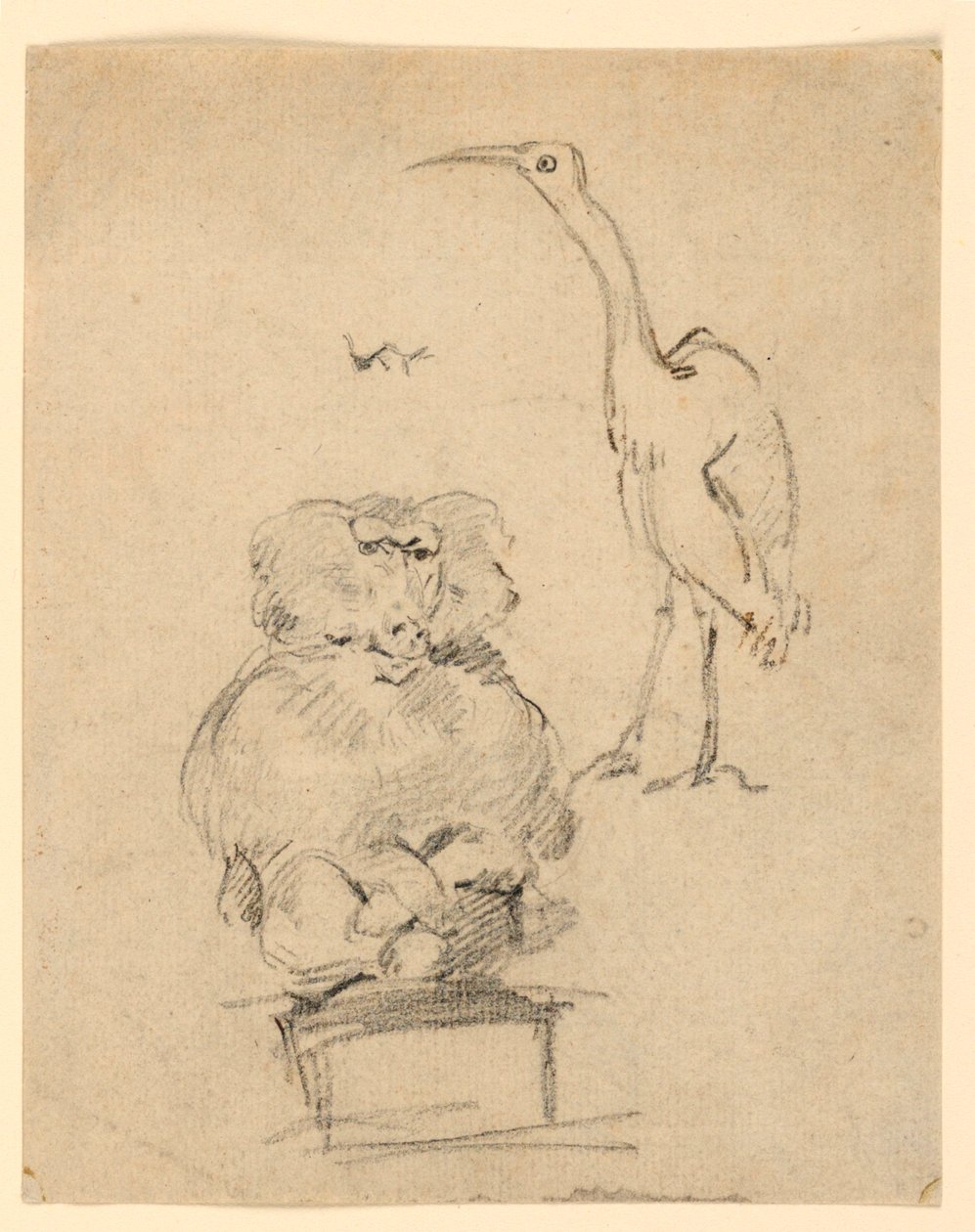 Studier af en hejre og en abe af Henry Bernard Chalon