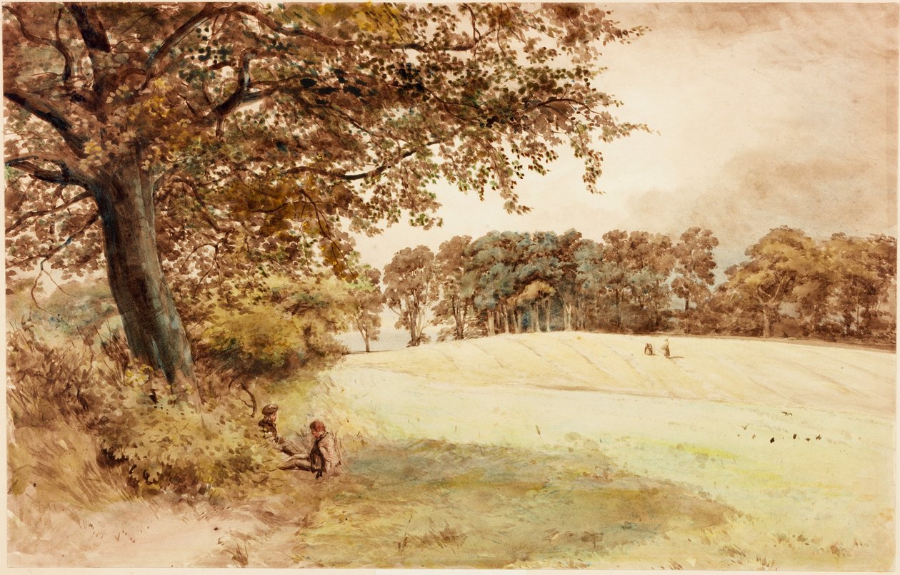 Benwell Hill Top (kropsfarve) af Henry Burdon Richardson
