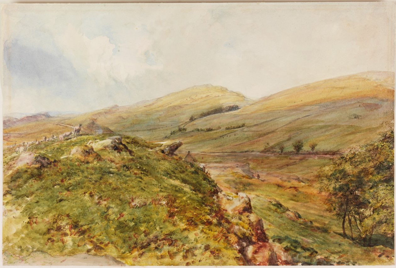 Cockmount Hill (kropsfarve) af Henry Burdon Richardson