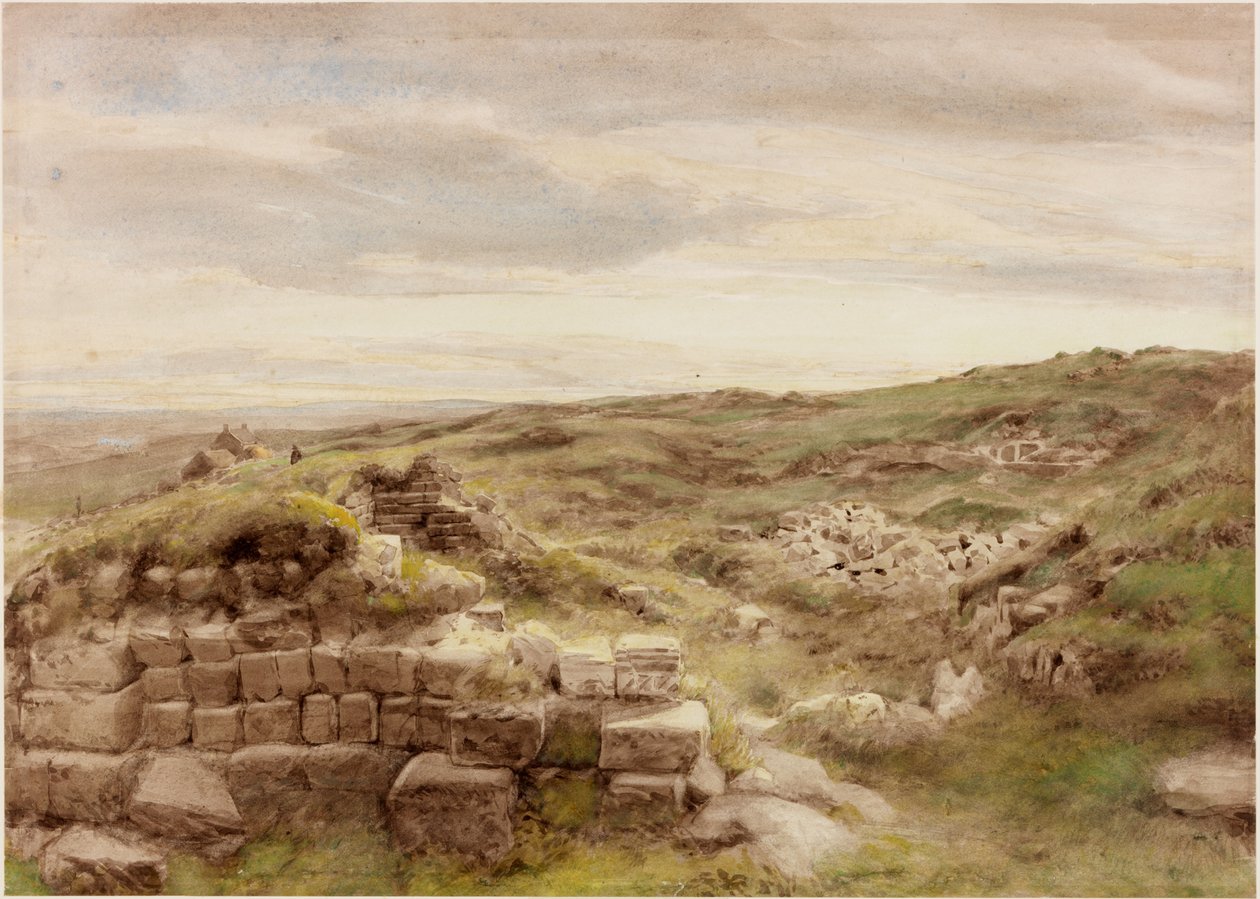 Husstande (kropsfarve) af Henry Burdon Richardson