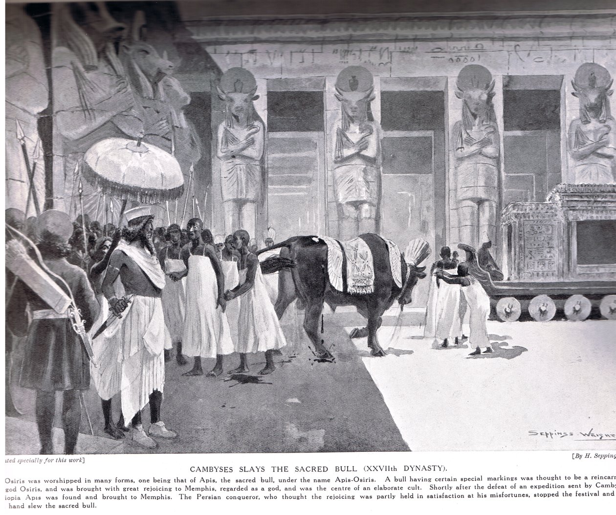 Cambyses dræber den hellige tyr, illustration fra 