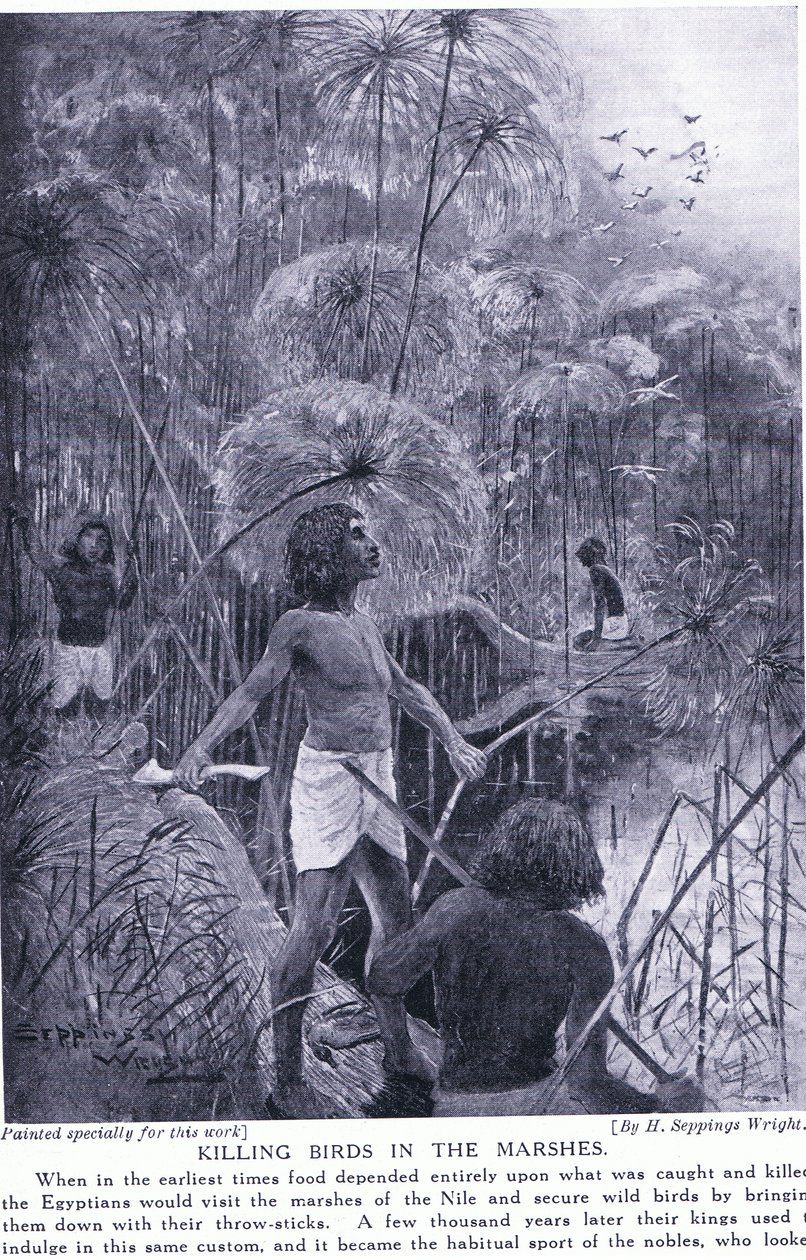 Dræber fugle i marsken, ca. 1920 af Henry Charles Seppings Wright